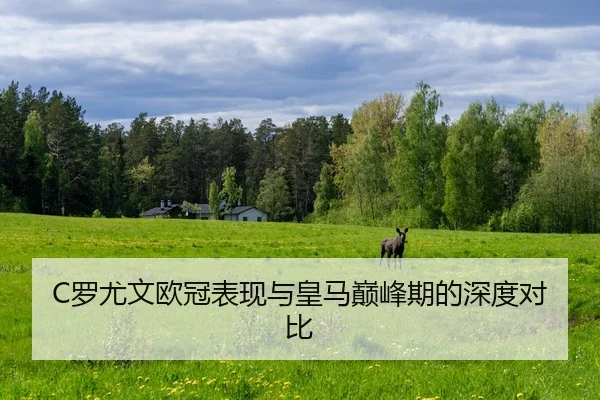 luo-you-wen-ou-guan-biao-xian-yu-huang-ma-dian-feng-qi-de-shen-du-dui-bi-2-244.jpg